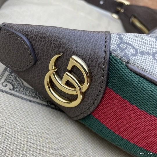 Hyperpeter GG mini Ophidia GUCCI bag 0813